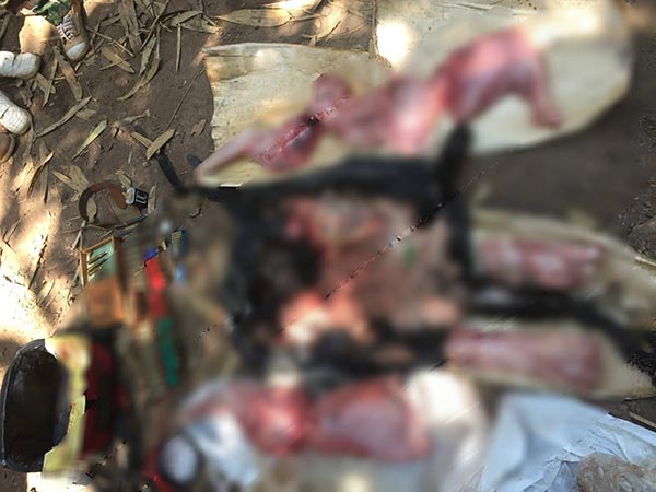 ล่าสัตว์ป่า