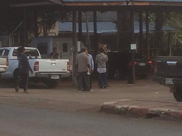 ล่าสัตว์ป่า