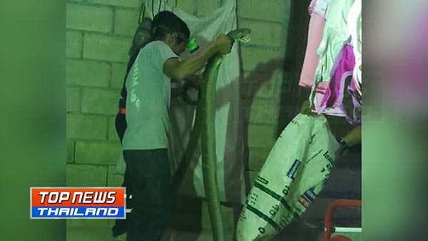 กู้ภัยจับงู