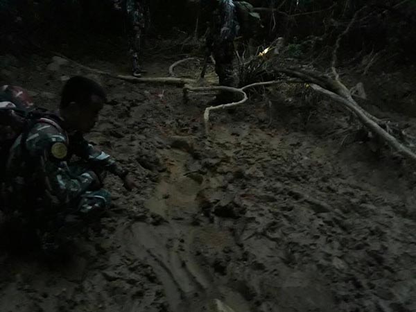 ช้างถูกกระบะชน