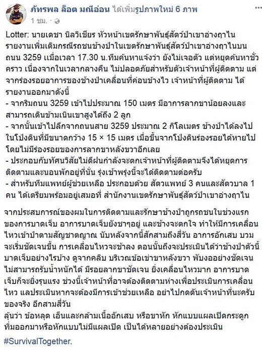 ช้างถูกกระบะชน