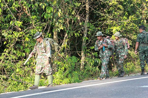 ช้างถูกกระบะชน