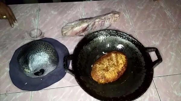 ไข่ปลาปักเป้าทอด