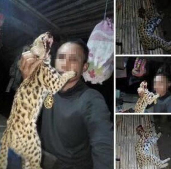 ล่าเสือปลา