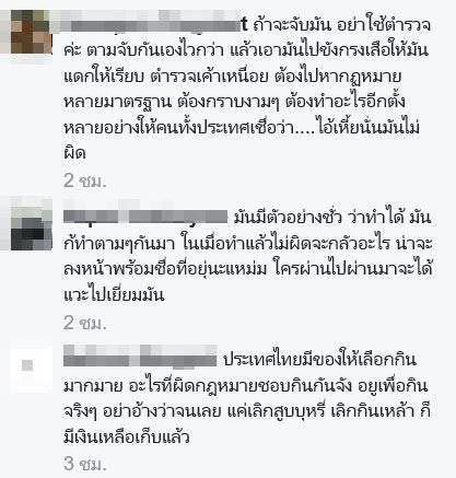 ล่าเสือปลา