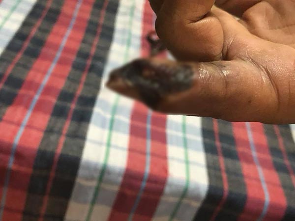 ปลากระเบนเฉี่ยว