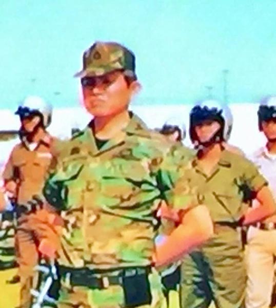 เสธ.แอ๊ว