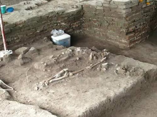 กะโหลกฟอลคอน