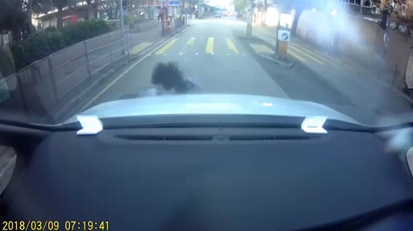 วิ่งตัดหน้ารถ