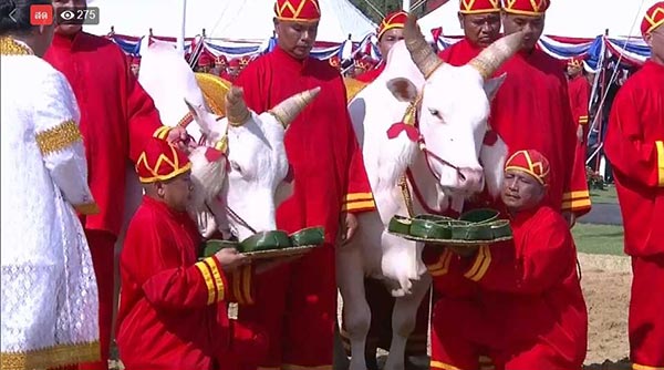 วันพืชมงคล