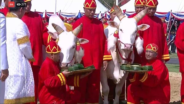 วันพืชมงคล