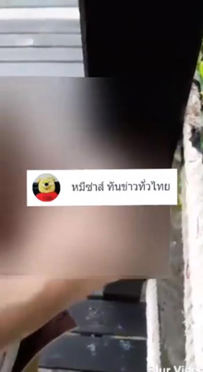 คลิปชักว่าว