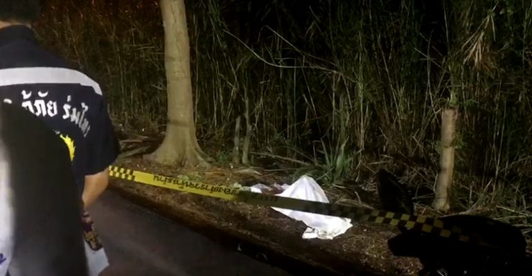 ฆ่าหั่นคอ