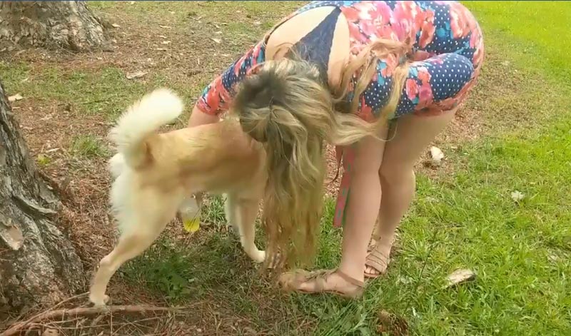 กินฉี่หมา