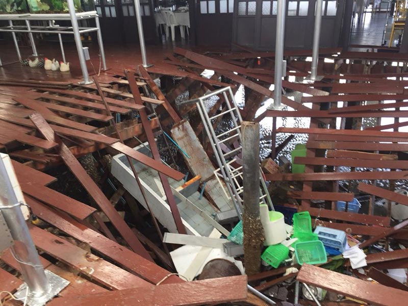 พื้นไม้ถล่ม