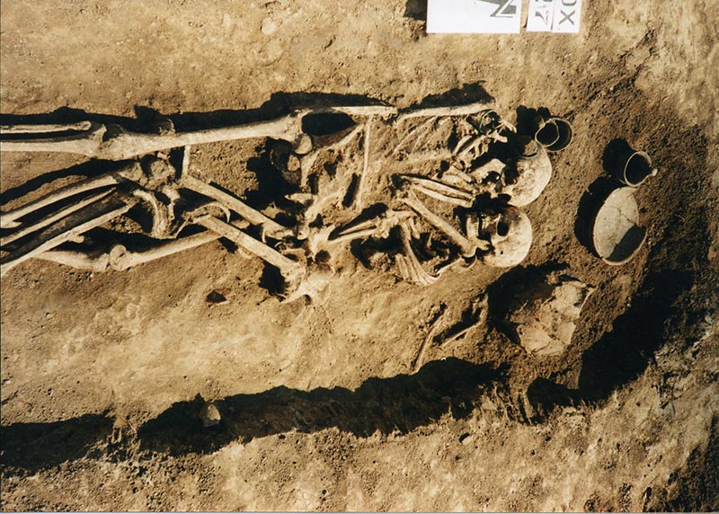 โครงกระดูกมนุษย์