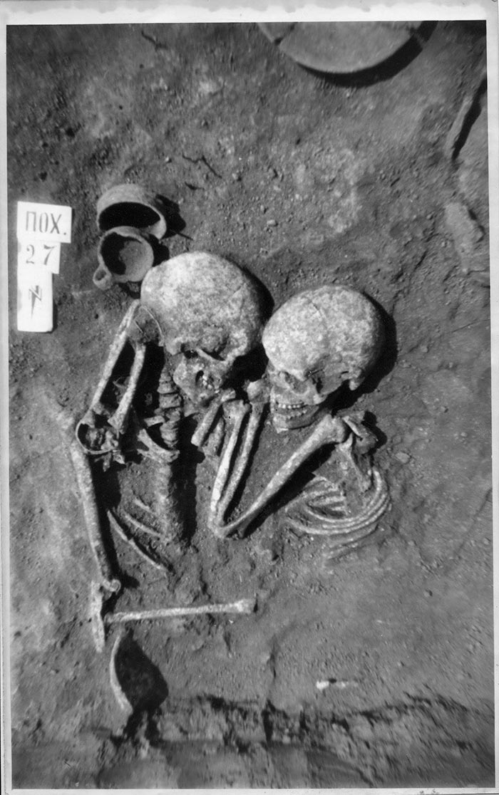 โครงกระดูกมนุษย์