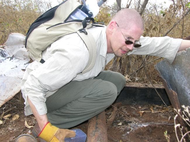 งูสายพันธุ์ใหม่