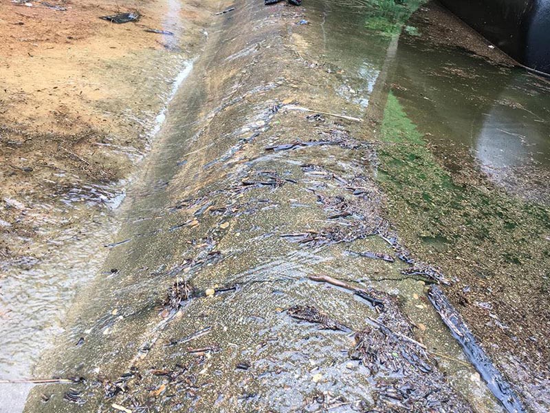 เขื่อนแก่งกระจาน