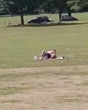 เซ็กส์กลางสวนสาธารณะ