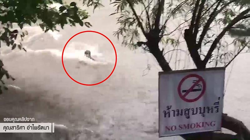 ข่าวน้ำตกวังตะไคร้