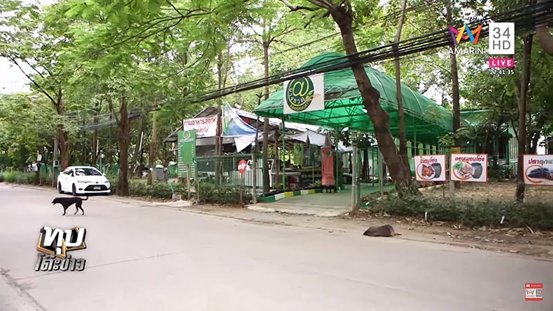 เกษตรพอเพียง