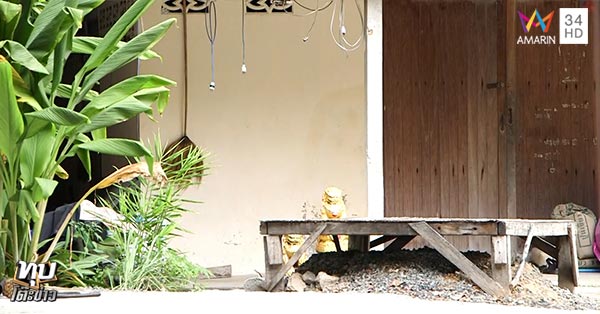 ร่างทรงฤาษีตาไฟ