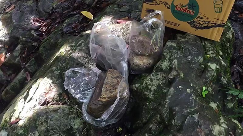 นักท่องเที่ยวจีนตกน้ำ