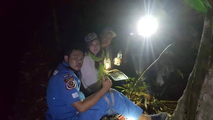 หลงป่าเขาหงอนนาค