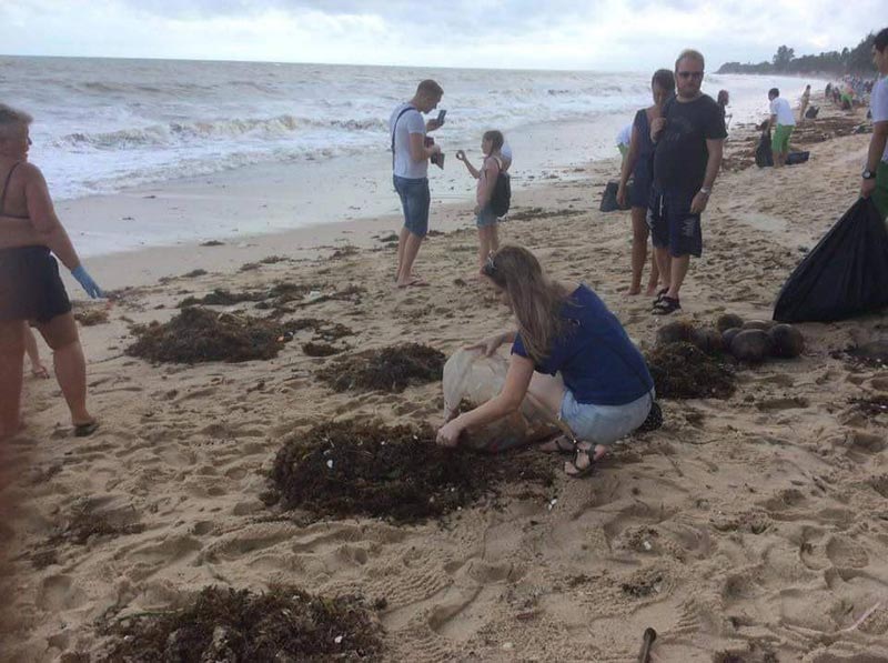 พายุปาบึก