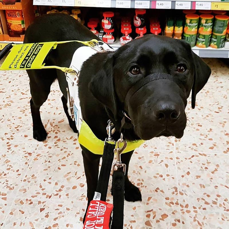 ไล่ผู้โดยสารลงรถบัส