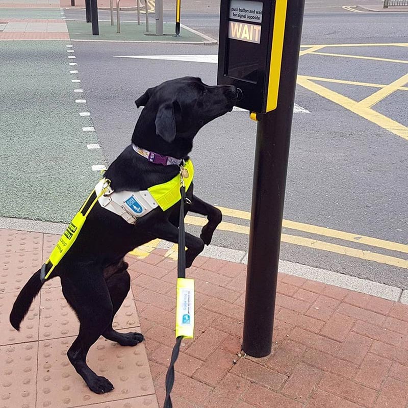 ไล่ผู้โดยสารลงรถบัส