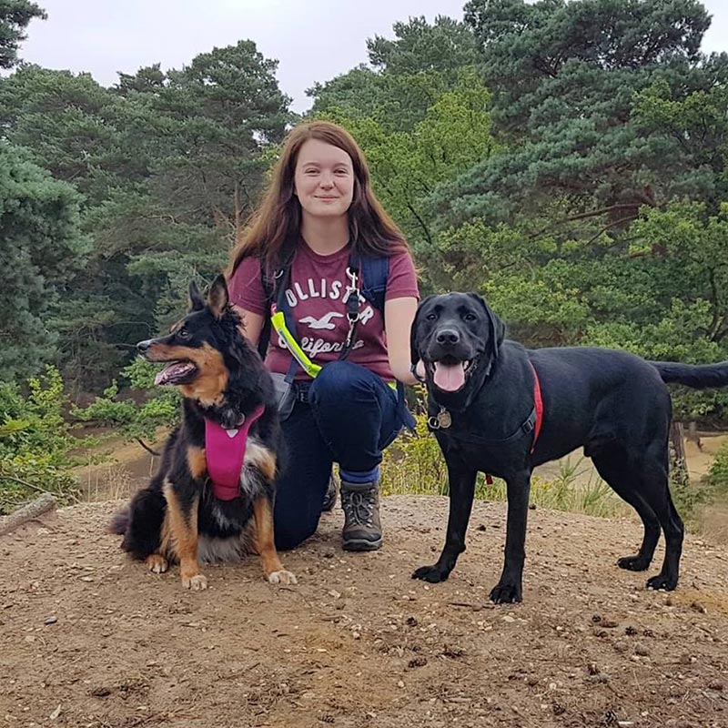 ไล่ผู้โดยสารลงรถบัส