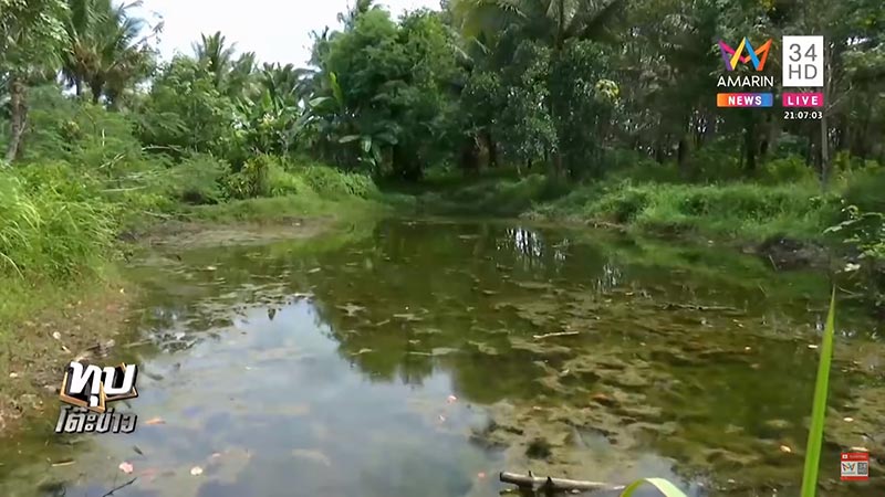 ผัวซ้อมเมียตาย