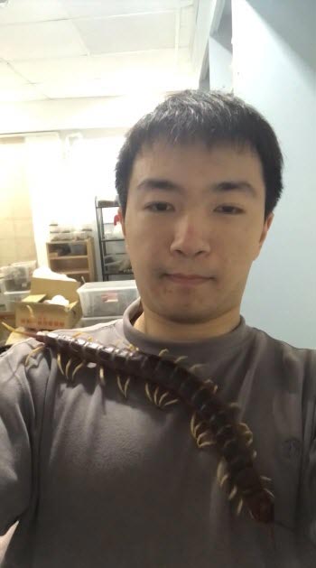 เลี้ยงตะขาบยักษ์