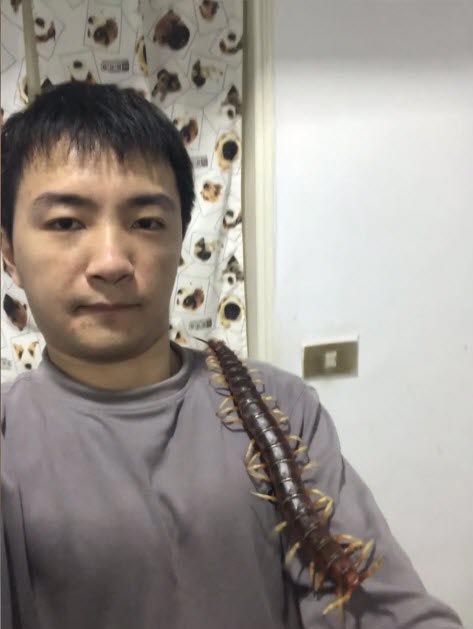 เลี้ยงตะขาบยักษ์