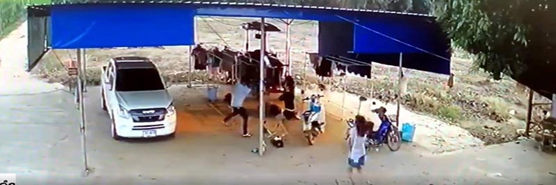 ฆ่ายกครัว