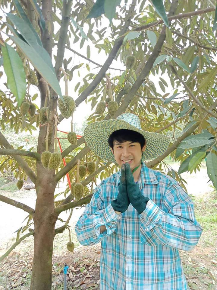 เสี่ยล้งทุเรียน