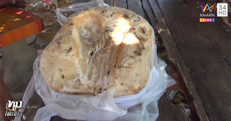 อ้วกวาฬ