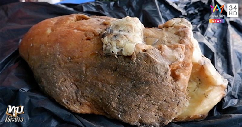 อ้วกวาฬ