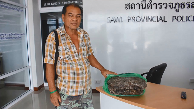 อ้วกวาฬ