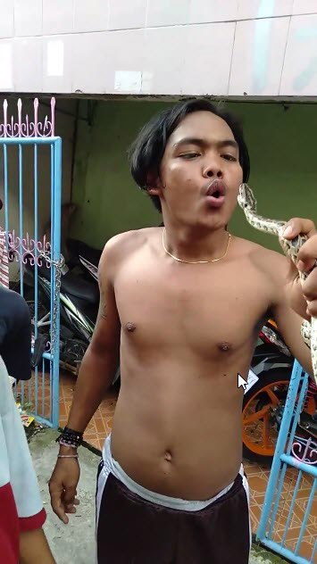 เล่นพิเรนทร์