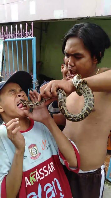 เล่นพิเรนทร์