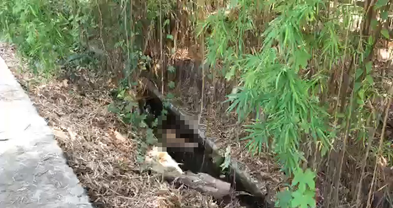 น้องภาคิน