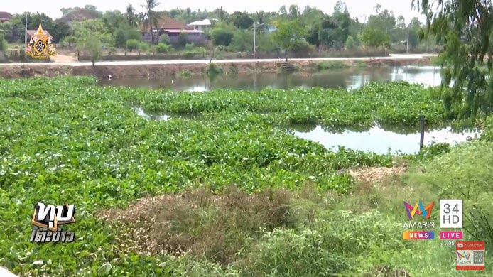 น้องเอ๋ย