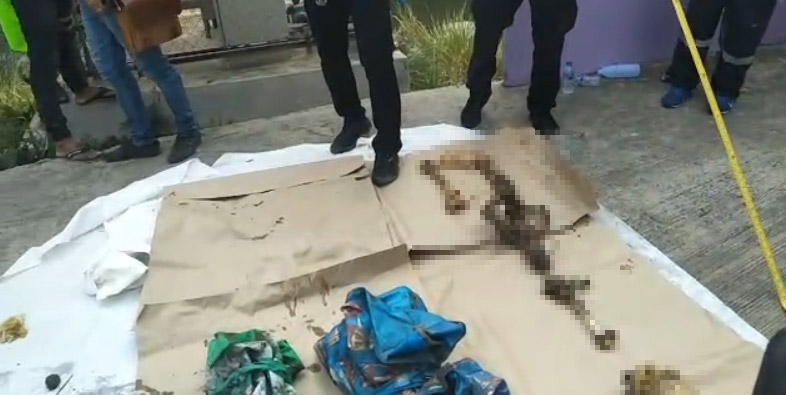 ฆ่าหั่นศพ
