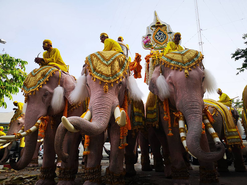 ช้างคชลักษณ์