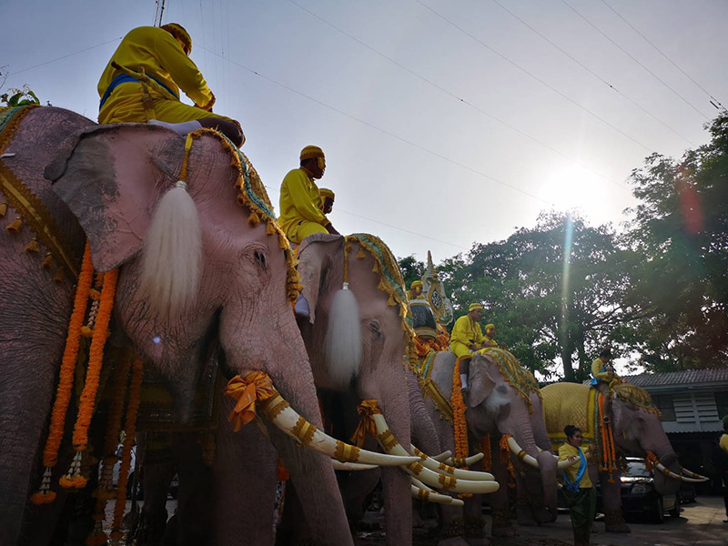 ช้างคชลักษณ์