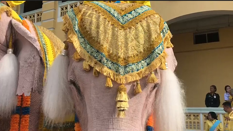 ช้างคชลักษณ์