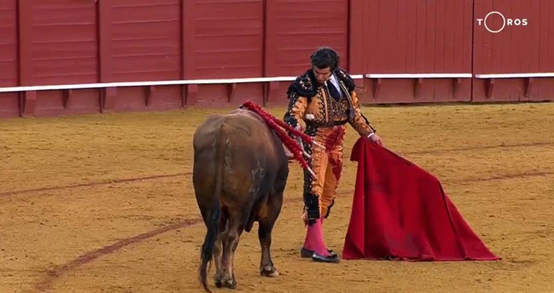 ฆ่าวัวกระทิง